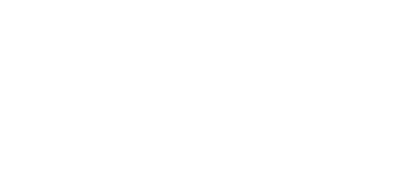 DJ FLASH ONE